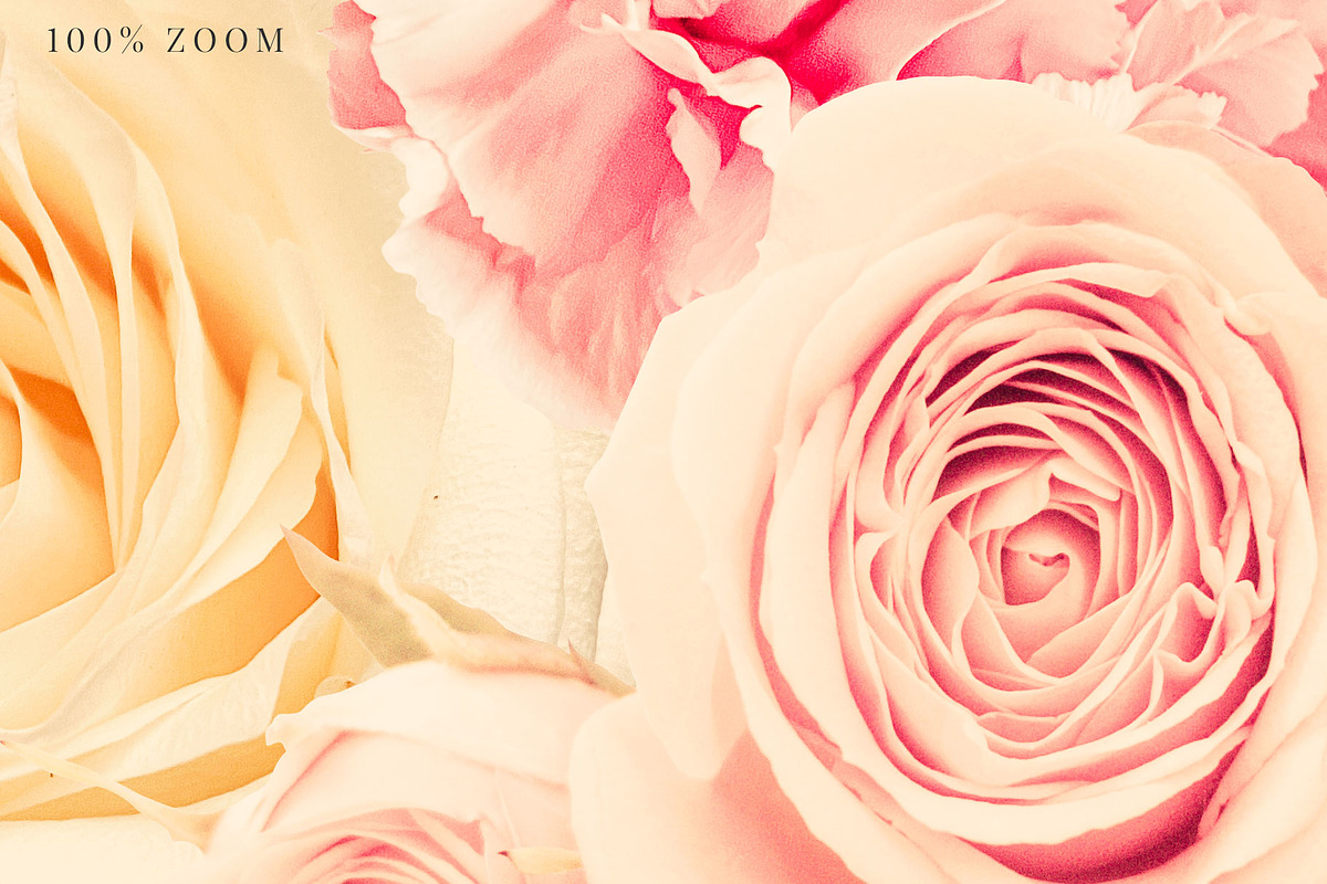 Isabelle Clip Art Floral Collection, an Object Graphic by Eclectic Anthology (Photo 10 of 10)