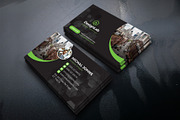 Business Cards, a Business Card Template by DesignsLab (Thumbnail 4 of 4)