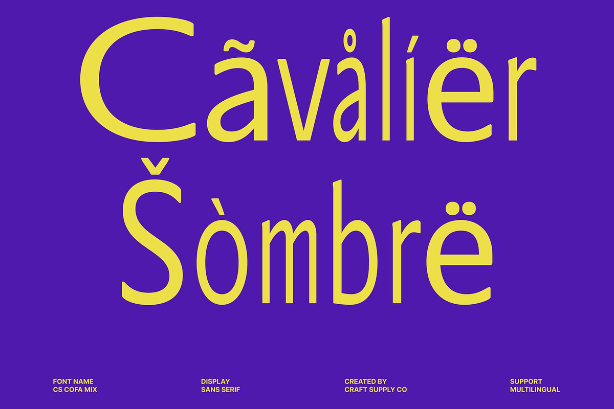 CS Cofa Mix, a Sans Serif Font by Craft Supply Co. (Photo 7 of 8)