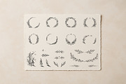 19 Botanical Ink Wreaths & Leaves, an Object Graphic by Christine Krahl (Thumbnail 7 of 8)