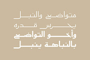 Aaber - Arabic Typeface, a Sans Serif Font by Mostafa El Abasiry (Thumbnail 11 of 17)