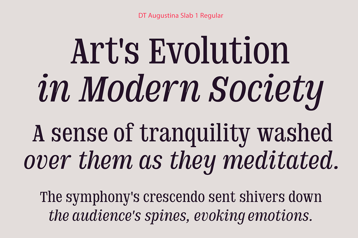 DT Augustina Slab 1 Subfamily, a Slab Serif Font by Deveze Type Foundry (Photo 7 of 31)