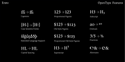 Erato, a Serif Font by Hoftype (Thumbnail 15 of 15)