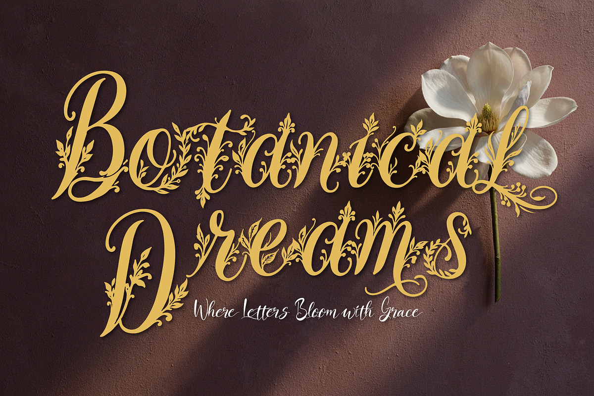 WynsteraQalis Decorative Floral font, a Script Font by HypeWorksCo (Photo 4 of 24)