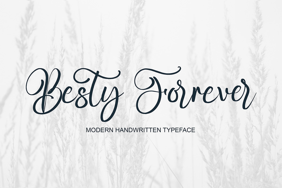 Feharitas, a Script Font by pineungtype (Photo 5 of 8)