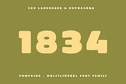 Pumpking Friendly Typeface, a Sans Serif Font by alpercakici (Thumbnail 13 of 17)