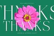 Nelhinco Modern Display Serif, a Serif Font by Letterena Studios (Thumbnail 15 of 15)