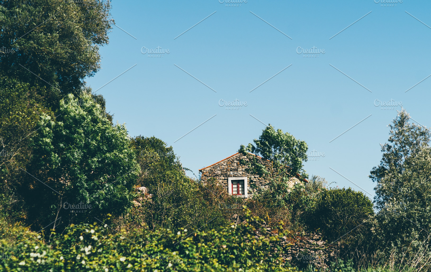 Stone house hidden in greenery, an Architecture Photo by SkyNext