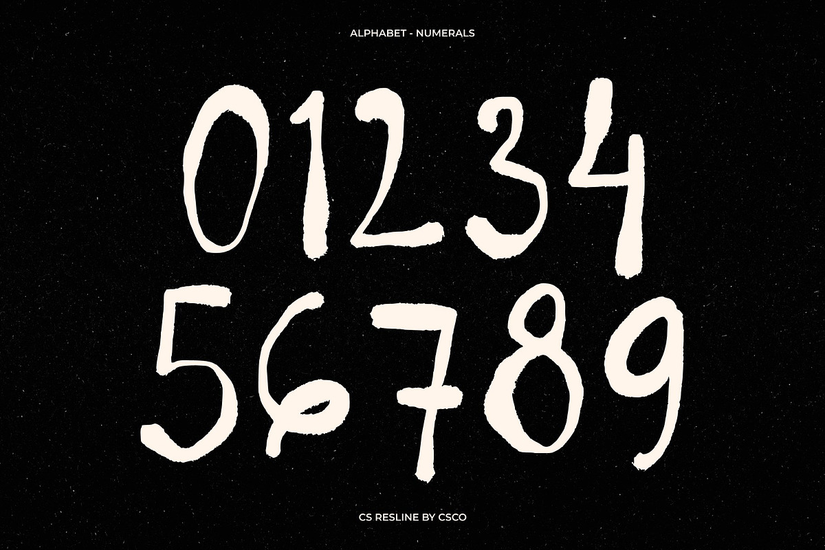 CS Resline, a Script Font by Craft Supply Co. (Photo 6 of 8)