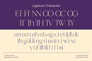 Annagia - Modern Elegant Luxury, a Serif Font by Qweera Studio (Thumbnail 11 of 12)
