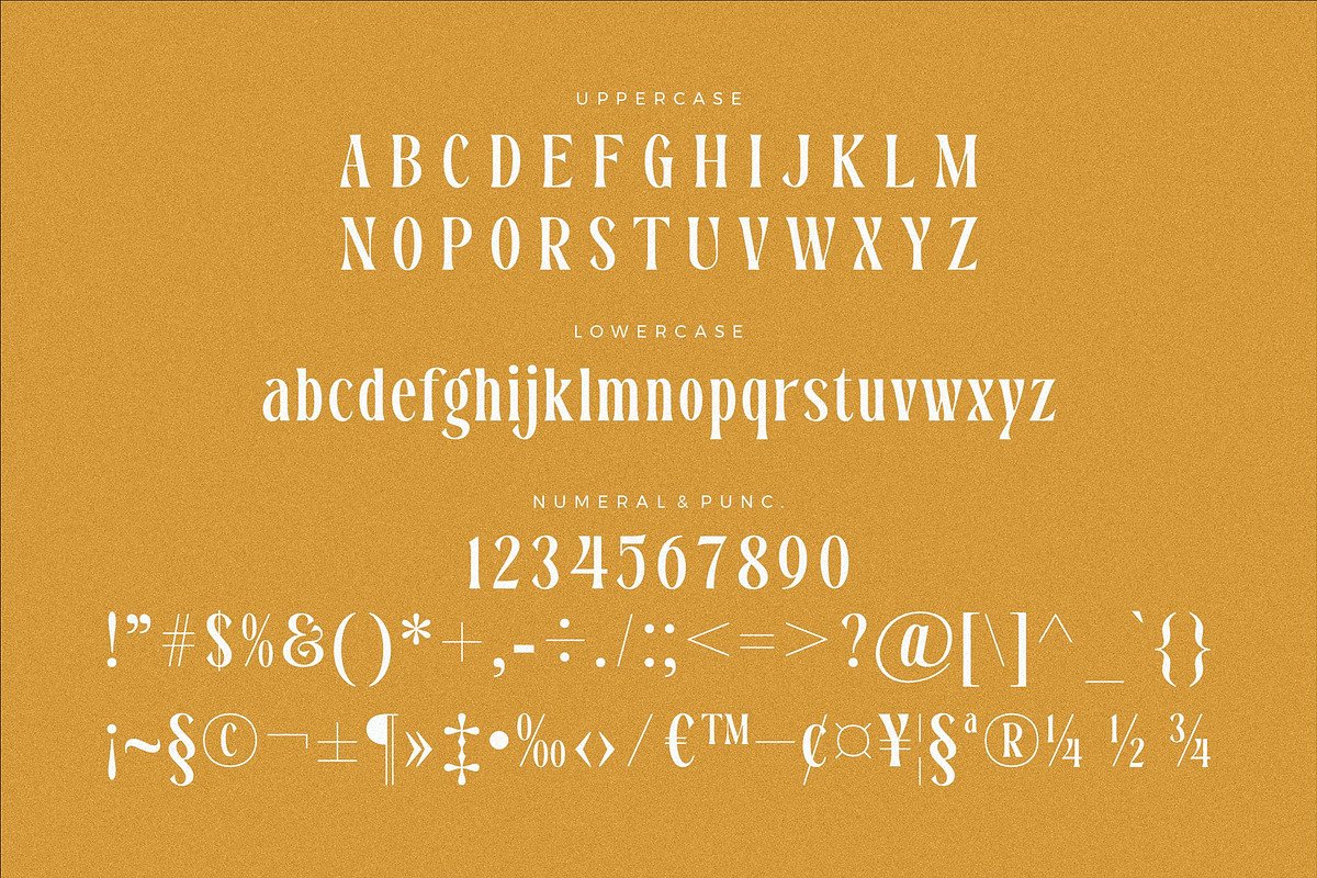 Dreavolt A Serif Display Font, a Serif Font by Storytype Studio (Photo 12 of 15)