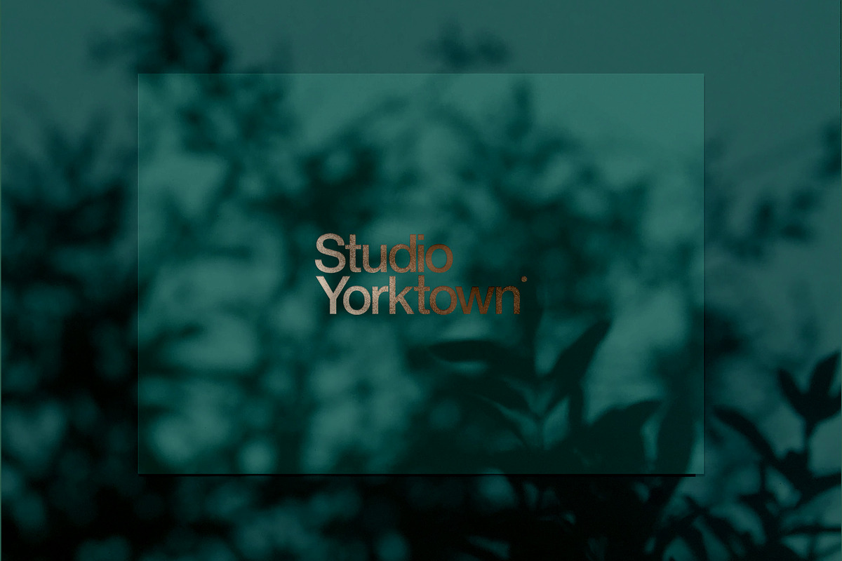 Kage - Botanical Shadow Overlays, a Texture Graphic by Studio Yorktown (Photo 8 of 10)