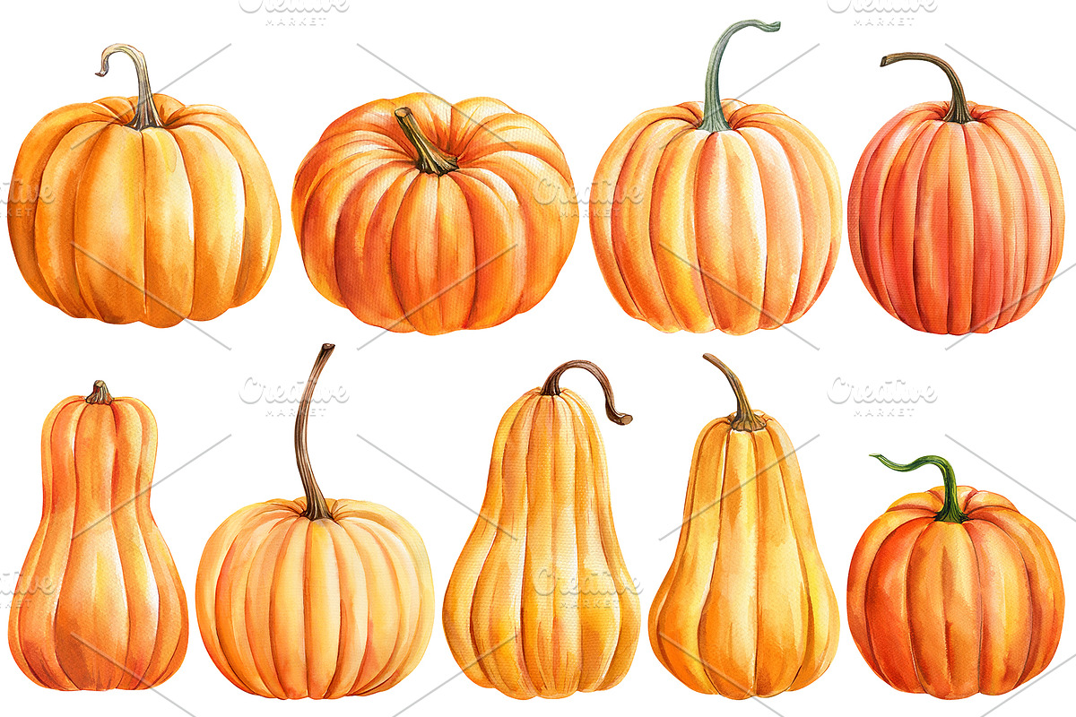 Harvest Thanksgiving fall clipart, a Decorative Illustration by Hanna Hryharenka (Photo 10 of 20)
