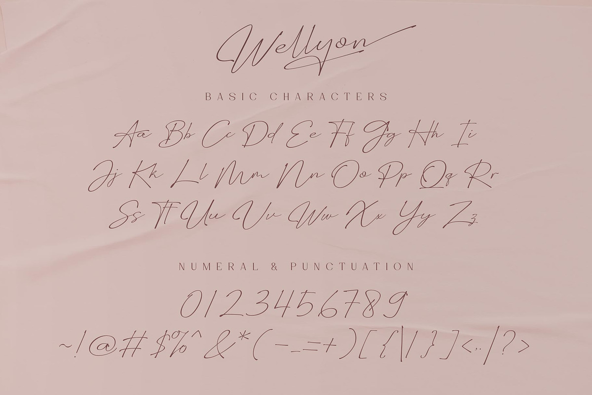 Wellyon Script signature, a Script Font by alit design (Photo 5 of 15)