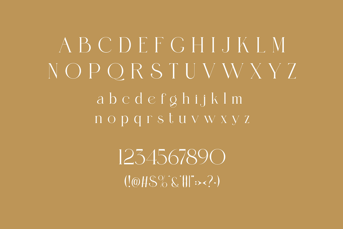 Zerellin | Elegant Modern Serif Type, a Serif Font by Artdez (Photo 5 of 5)