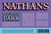 Alvinus 3D, a Serif Font by Craft Supply Co. (Thumbnail 4 of 8)