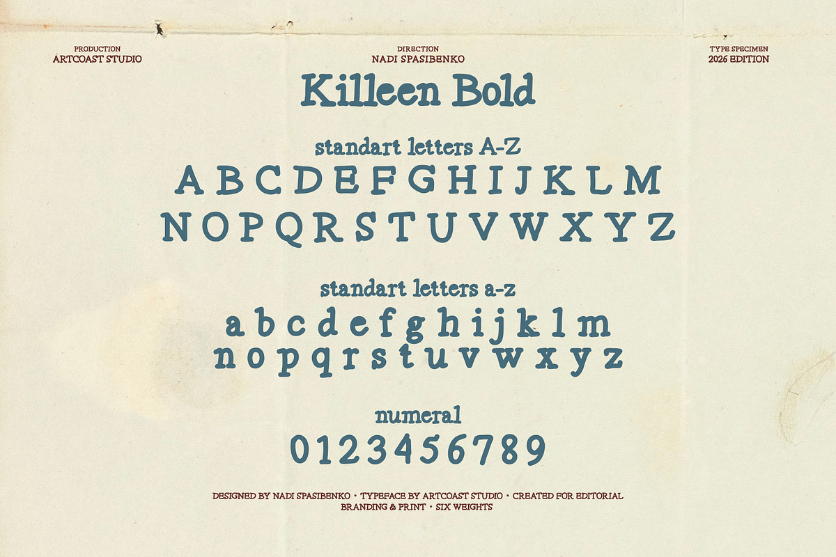 Killeen Font Family, a Serif Font by nadispasibenko (Photo 11 of 12)