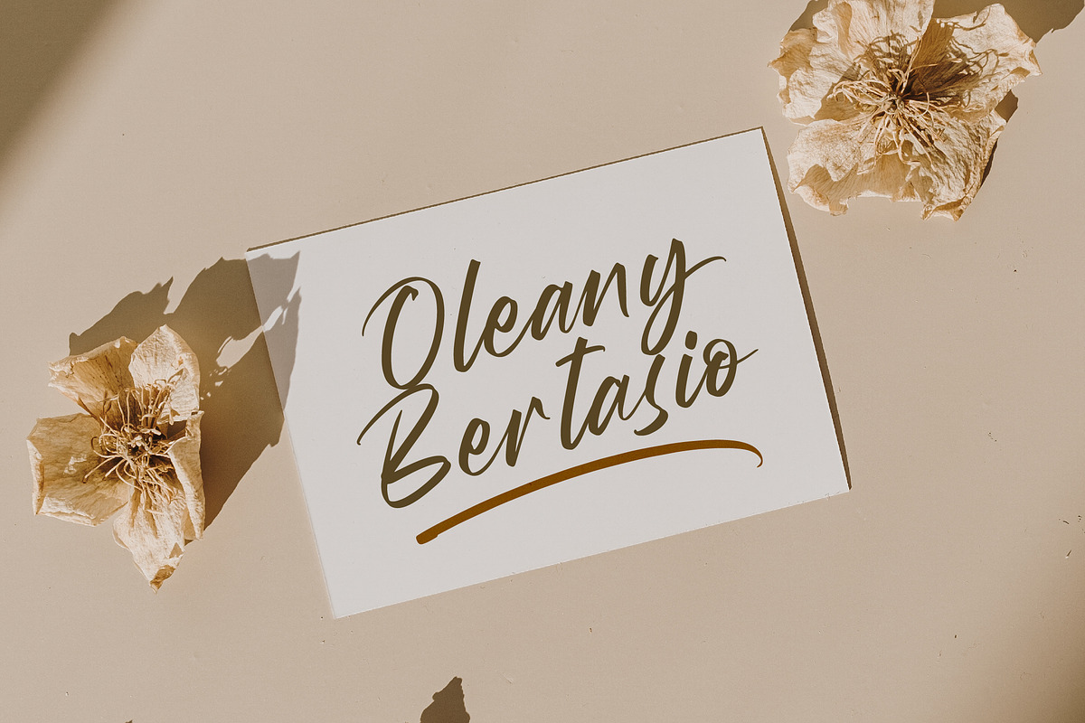 Wystine Esphelta Modern Brush Font, a Script Font by Letterena Studios Script (Photo 12 of 20)