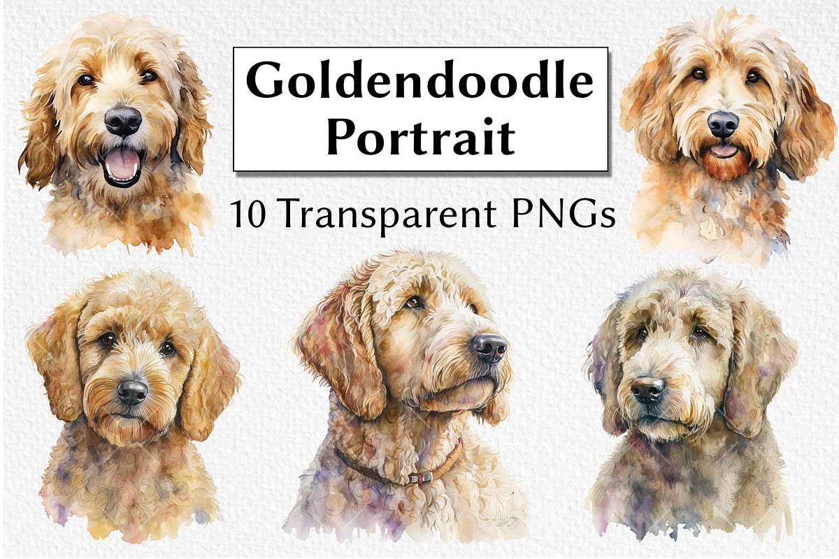 Goldendoodle Watercolor Clipart, an Animal Illustration by milkghost (Photo 1 of 2)