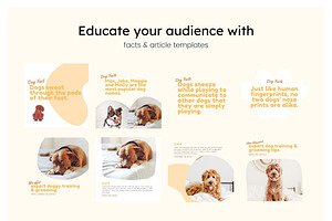 Pets Instagram Feed Canva Templates