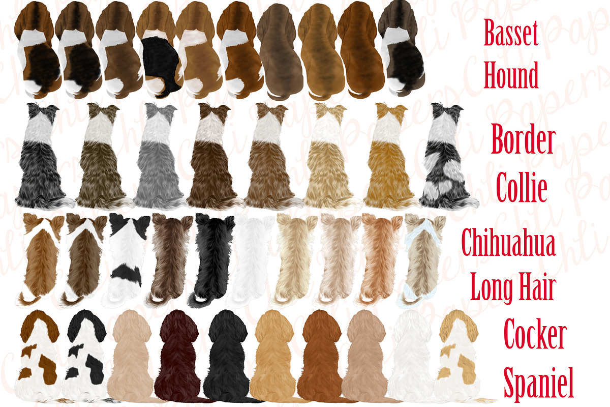 Dogs clipart,Dog Breeds Clipart,Pet, an Illustration by chilipapers (Photo 2 of 4)