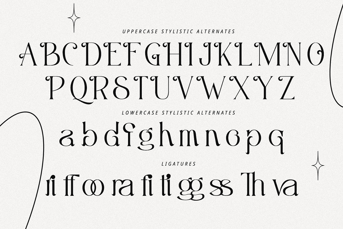 Misslena, a Serif Font by din-studio.com (Photo 9 of 10)