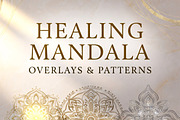 Botanical Lace & Magical Textures, a Texture Graphic by ETARA by Mea Hau (Thumbnail 6 of 34)