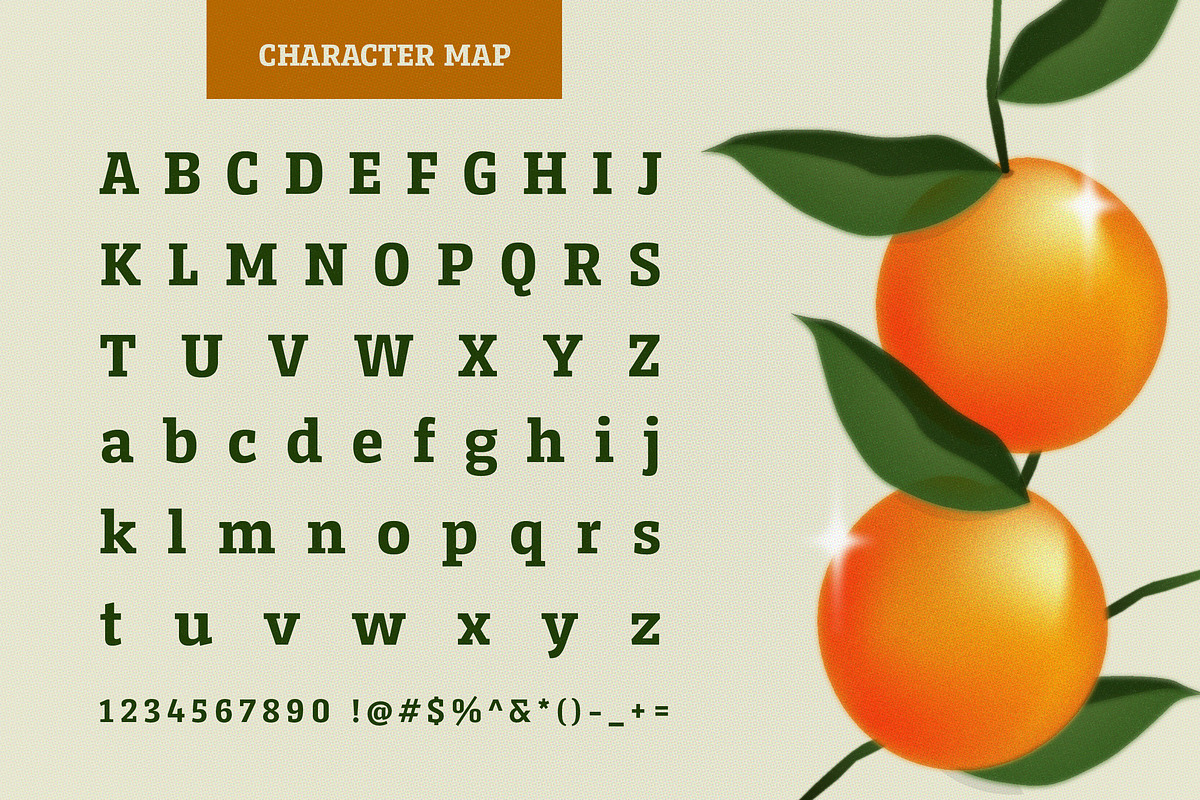 Serifnova, a Serif Font by graphicook (Photo 3 of 10)