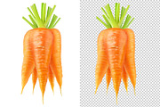Bunch of carrots, an Object Graphic by Fruits+Veggies (Thumbnail 3 of 4)