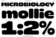BN Rumble, a Sans Serif Font by Bnick (Thumbnail 4 of 16)