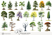 100 watercolour global tree clip art, a Seasonal Illustration by Poppy Lane Studio (Thumbnail 9 of 11)