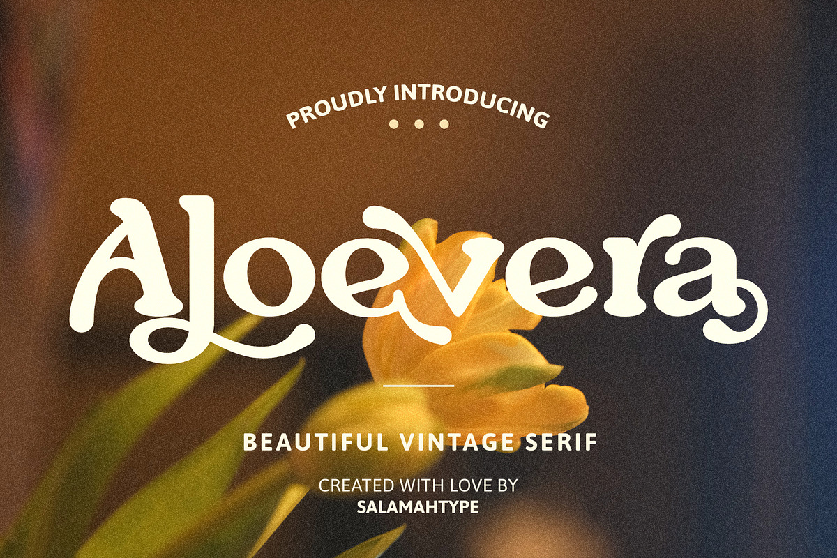 Aloevera - Modern Retro Serif, a Serif Font by Salamahtype (Photo 1 of 10)