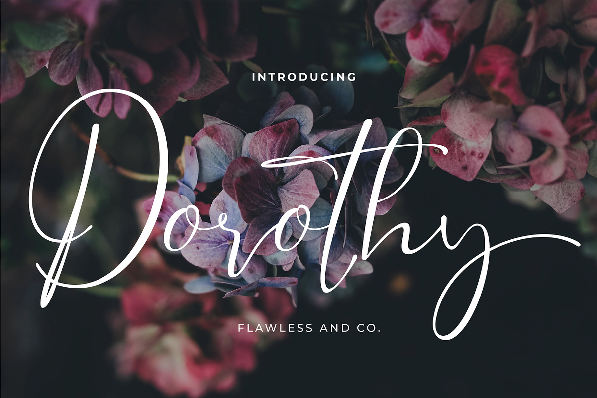 Dorothy, a Script Font by Flawless And Co (Photo 2 of 16)
