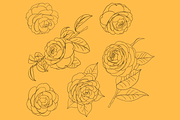 Camellia japonica, an Object Graphic by VictoriaKStudio (Thumbnail 6 of 6)