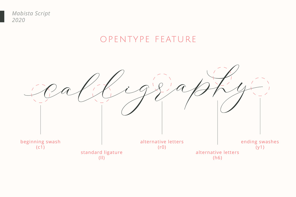 Mabista Script, a Script Font by Stipline Studios (Photo 2 of 8)