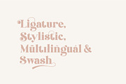 Brand Display Font, a Font by nurrontype (Thumbnail 5 of 18)