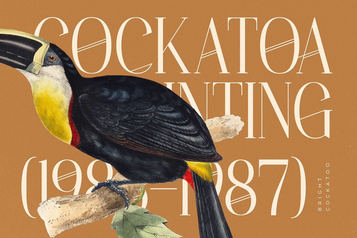 Holdmen Paradise Modern Serif, a Serif Font by timelesstype.co (Photo 3 of 20)