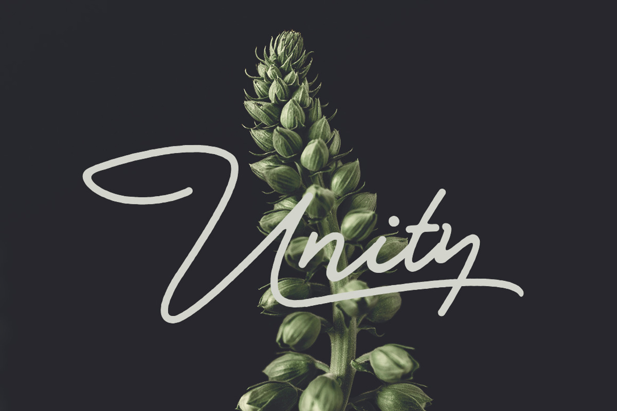 Bullstander 6 Font Set - 60% OFF preview 7
