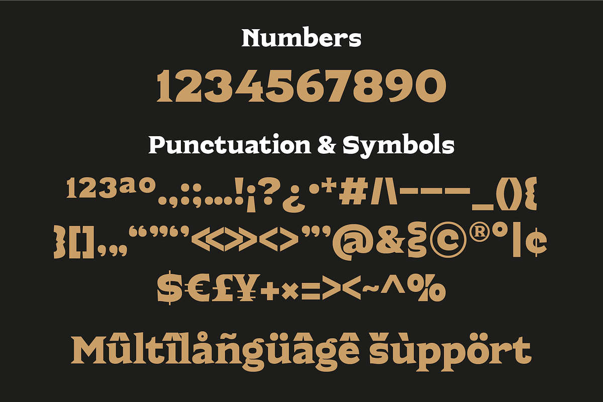 Asong Display Serif Font, a Serif Font by PeanutButter Type (Photo 4 of 5)