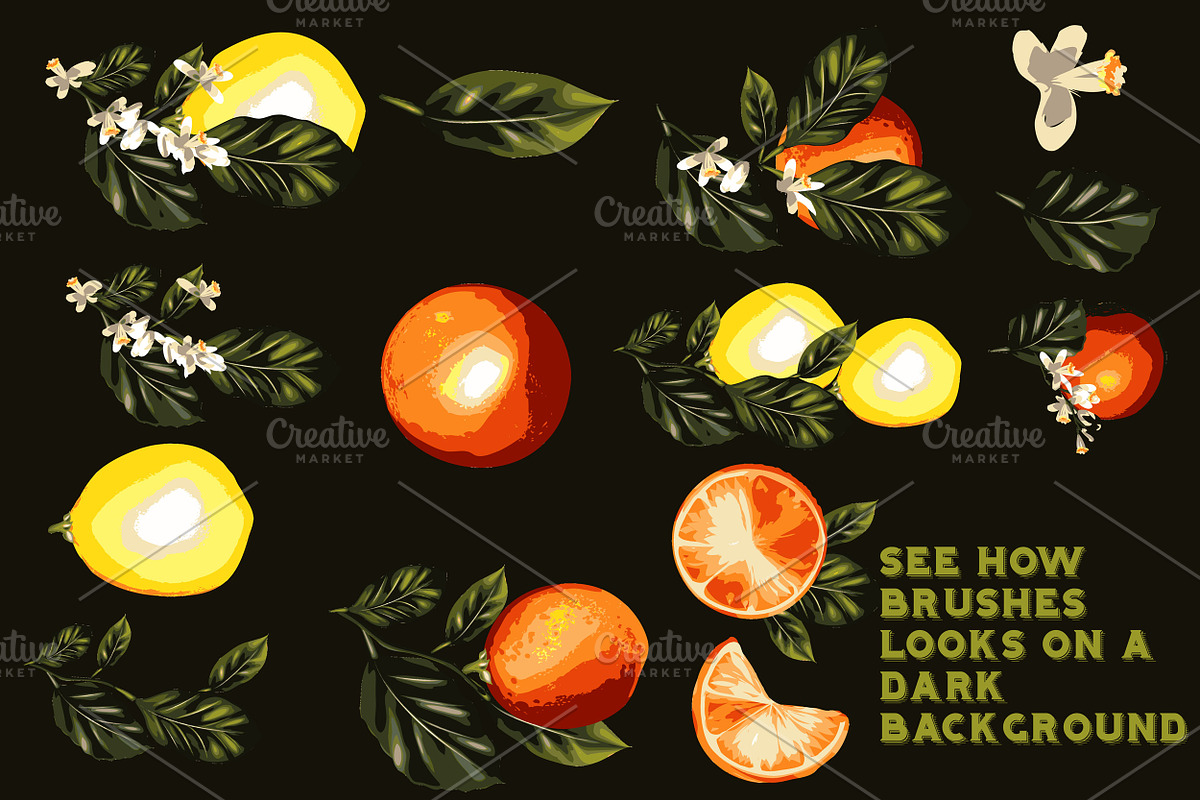 set of flowers brushes2 preview 5
