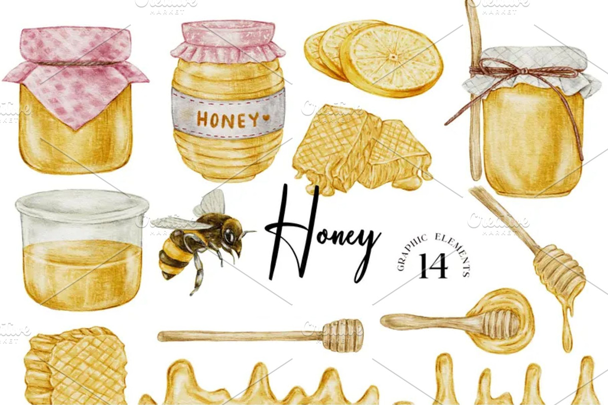 Honey Bee Watercolor Clipart, a Food Illustration by Stellalunarts (Photo 1 of 2)