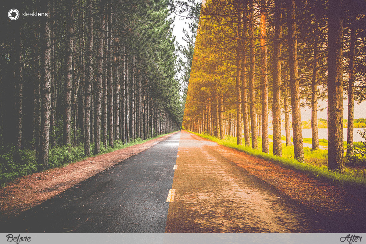 Cross Processing X Lightroom Presets, an Action Add-On by Sleeklens (Photo 2 of 5)