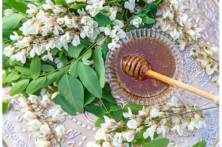 Honey from acacia in the garden, a Nature Photo by yanadjana