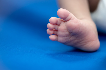 Newborn's foot on blue blanket sheet, Baby and Health care conce, a Person Photo by Ministocker