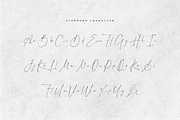 Manhattan Signature | Signature Font, a Script Font by Moove Studio (Thumbnail 9 of 12)