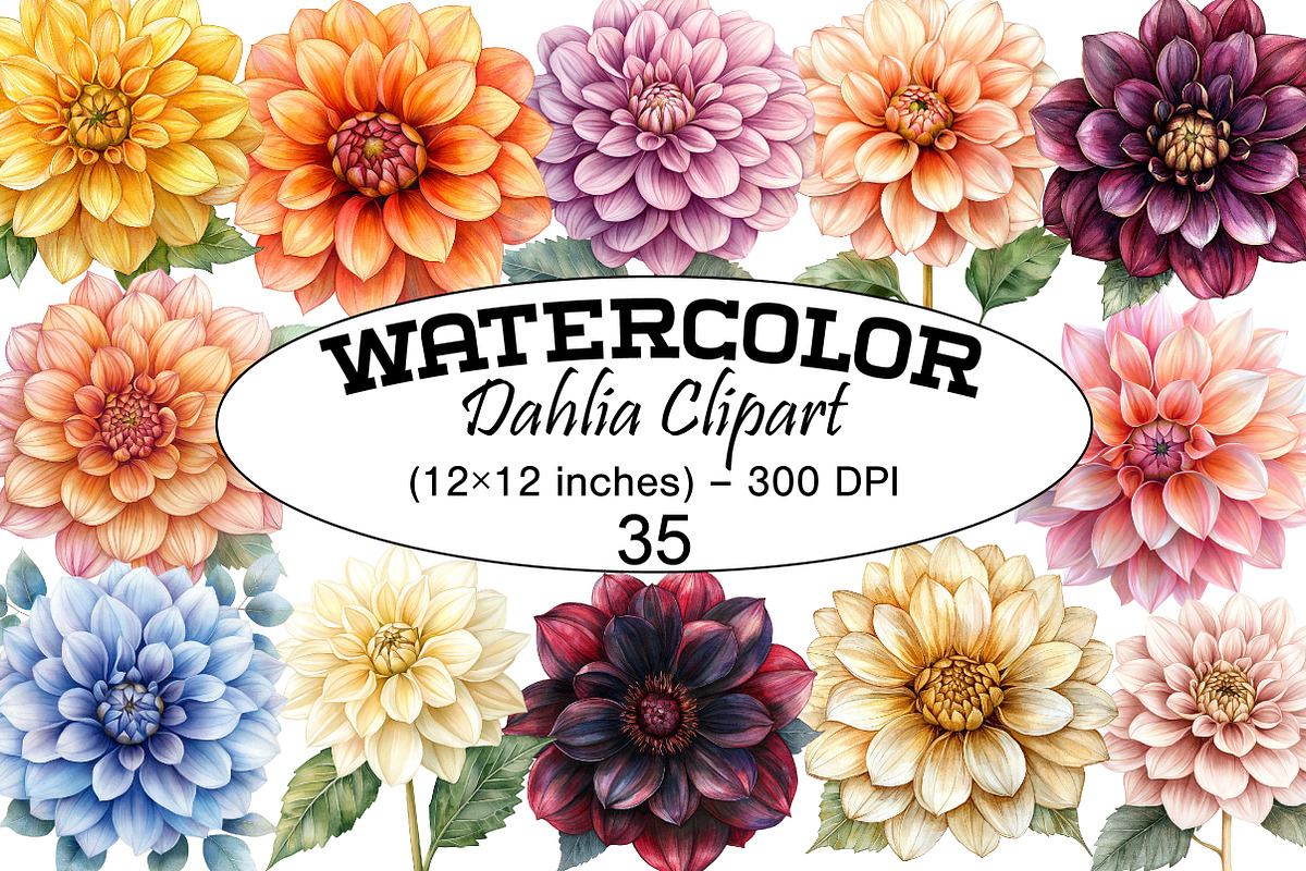 Watercolor Dahlia Clipart, a Seasonal Illustration by Design Market (Photo 1 of 4)