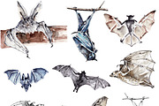 Vampire bats, watercolor/ink/vector, an Animal Illustration by Watercolor_Vector Graphic (Thumbnail 22 of 22)