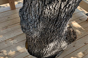 Tree Fort Plans, an Object Graphic by elevatedspaces (Thumbnail 3 of 10)