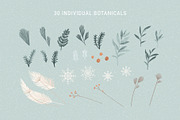 Arctic Animal, Botanical & Landscape, an Animal Illustration by imajineko (Thumbnail 8 of 11)