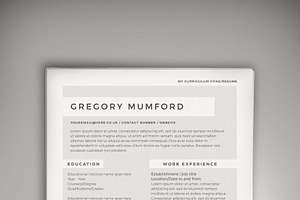 Echo CV/Resume (DOC + PSD)